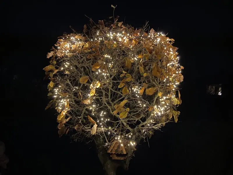 Condolence image of Gerda mit Bonita tief im Herzen