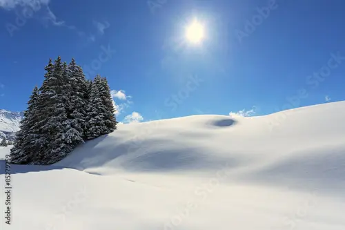 Condolence image of für Fiby und Tommy ❤️❤️