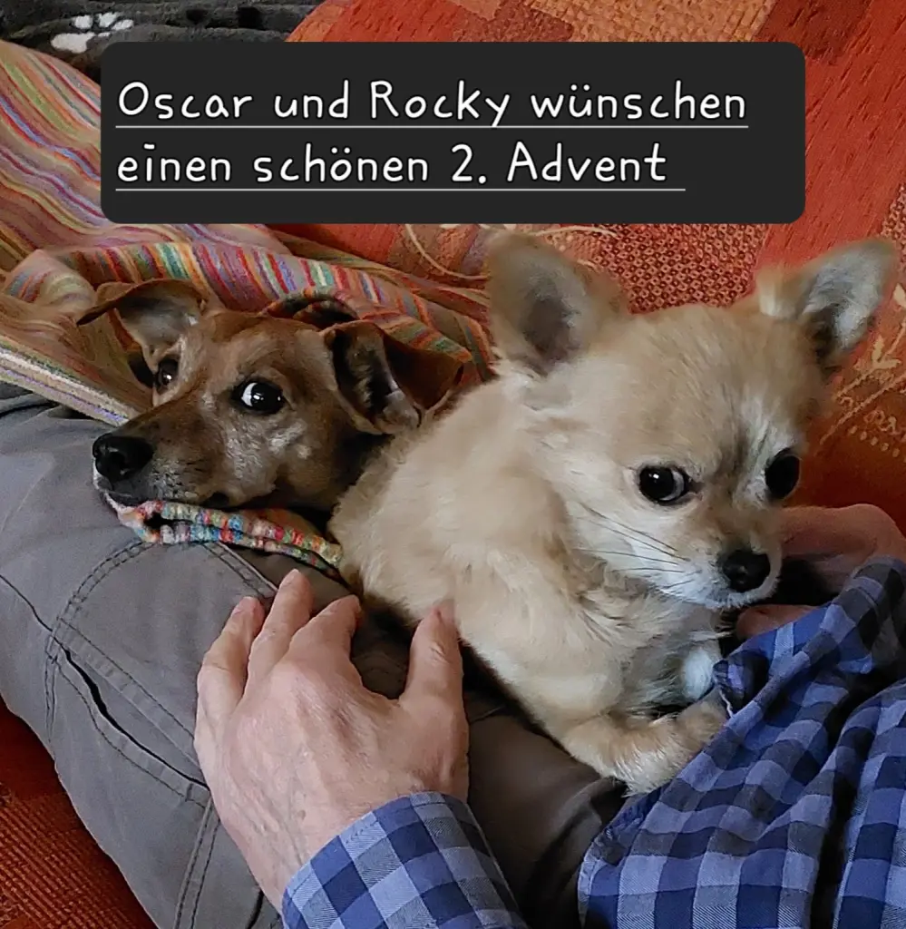 Condolence image of Jutta, Axel, Oscar und Rocky 