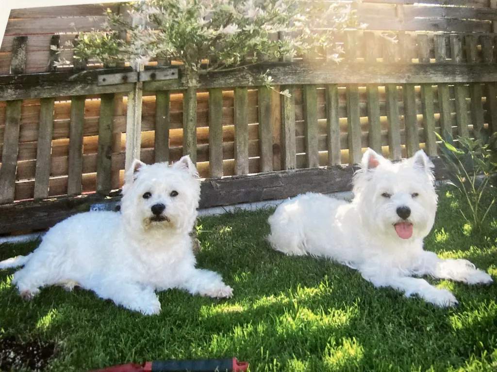 Condolence image of Sigrid 