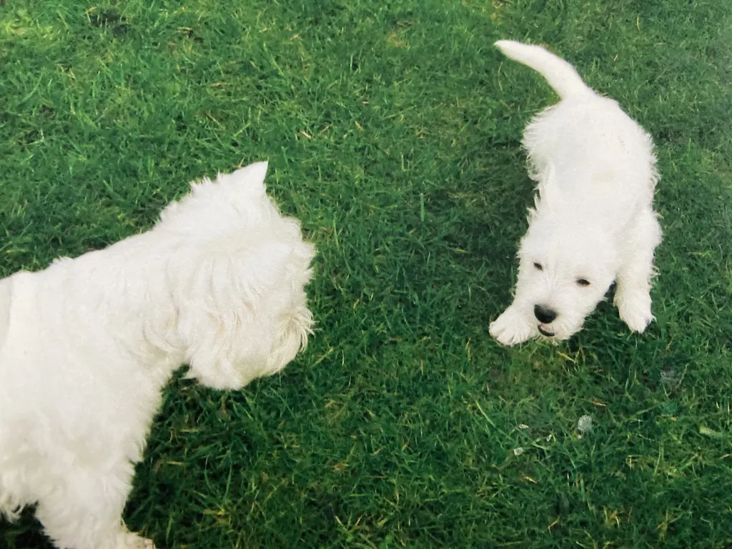 Condolence image of Sigrid 