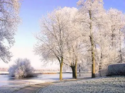 Condolence image of Gaby mit Snowy ❤️