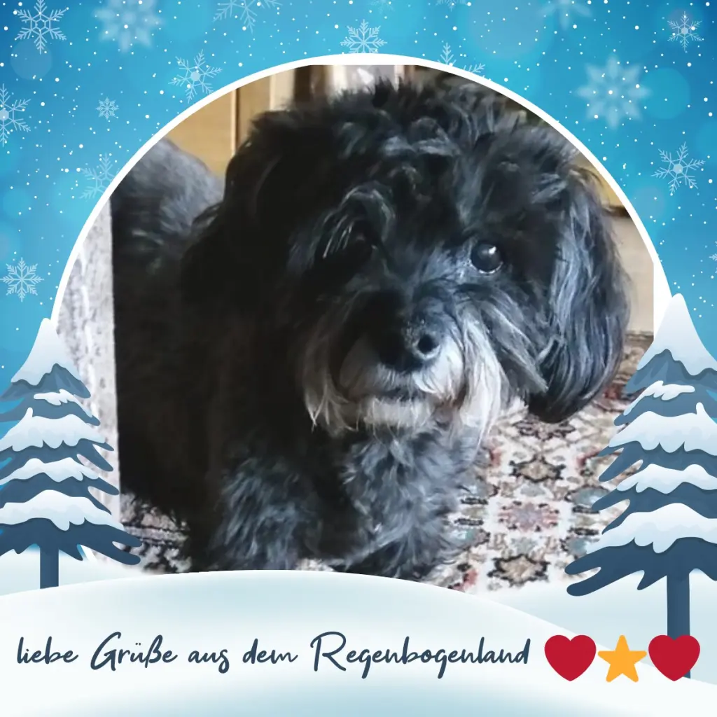 Condolence image of ❤️Grüße zum 3. Advent❤️