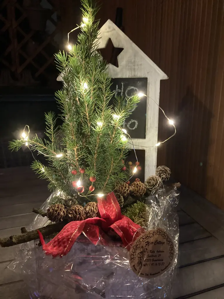 Condolence image of Sigrid