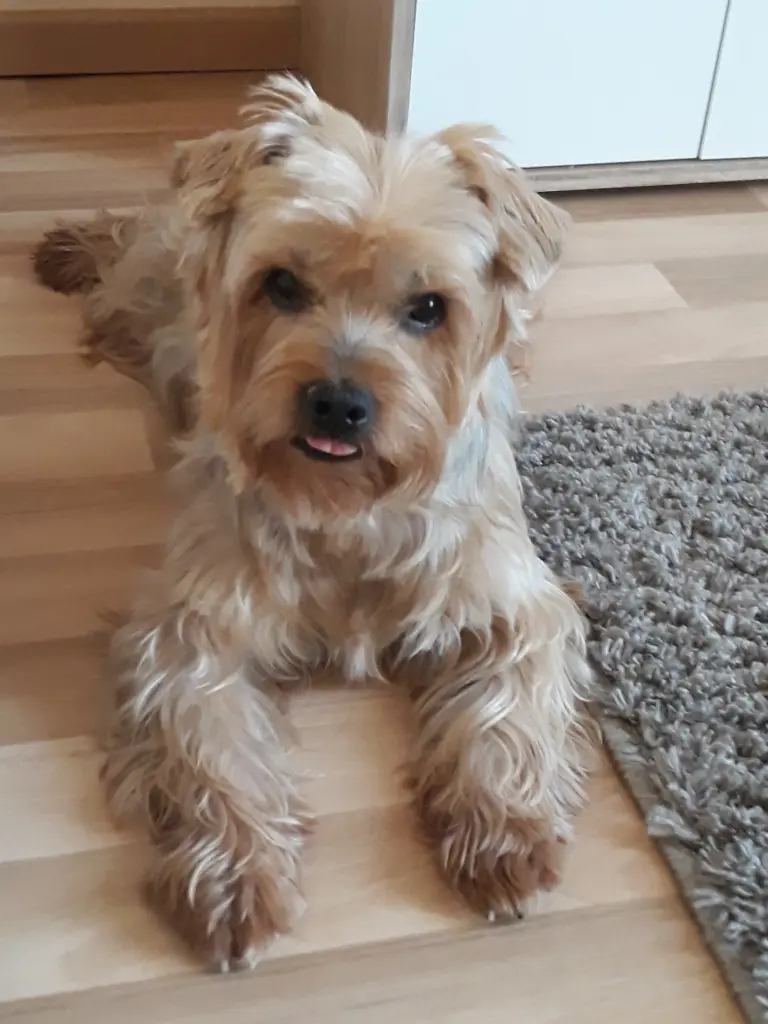 Condolence image of Krzysztof und Ewa mit Jacki im Herzen ❤