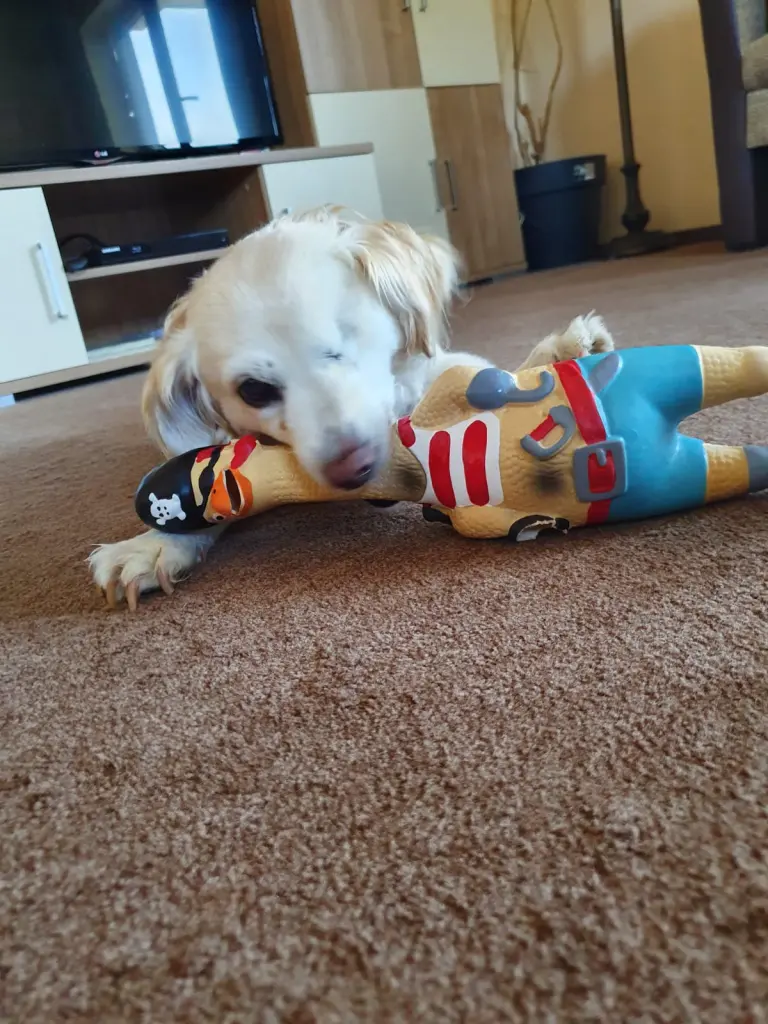 Condolence image of Heike mit Biene im ❤