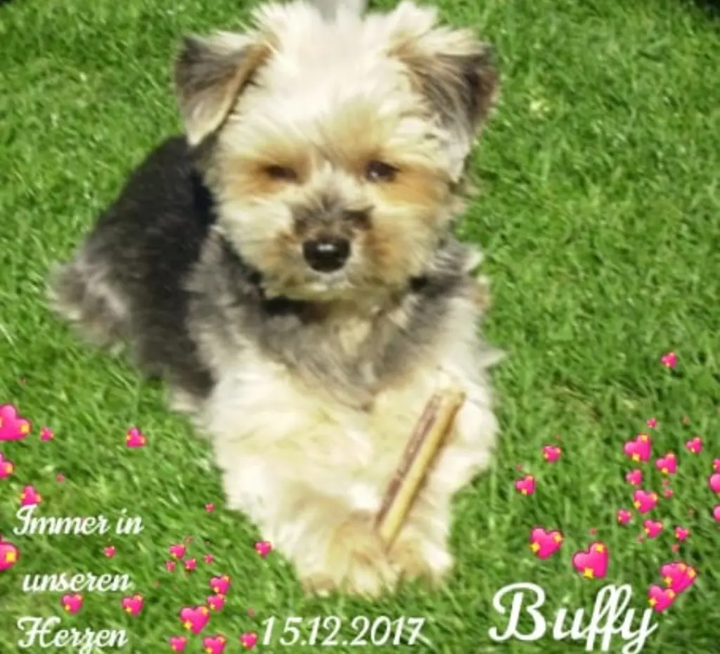 Condolence image of Für Elke und Horst❤️