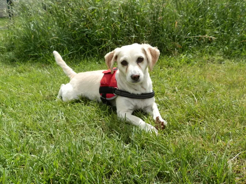 Condolence image of Heike mit Biene  im ❤ 