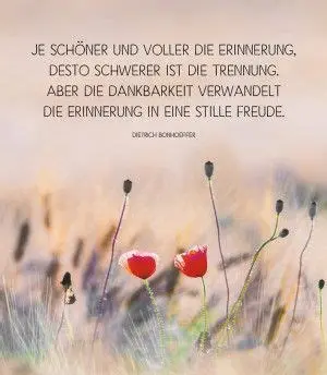 Condolence image of Gaby mit Snowy im Herzen