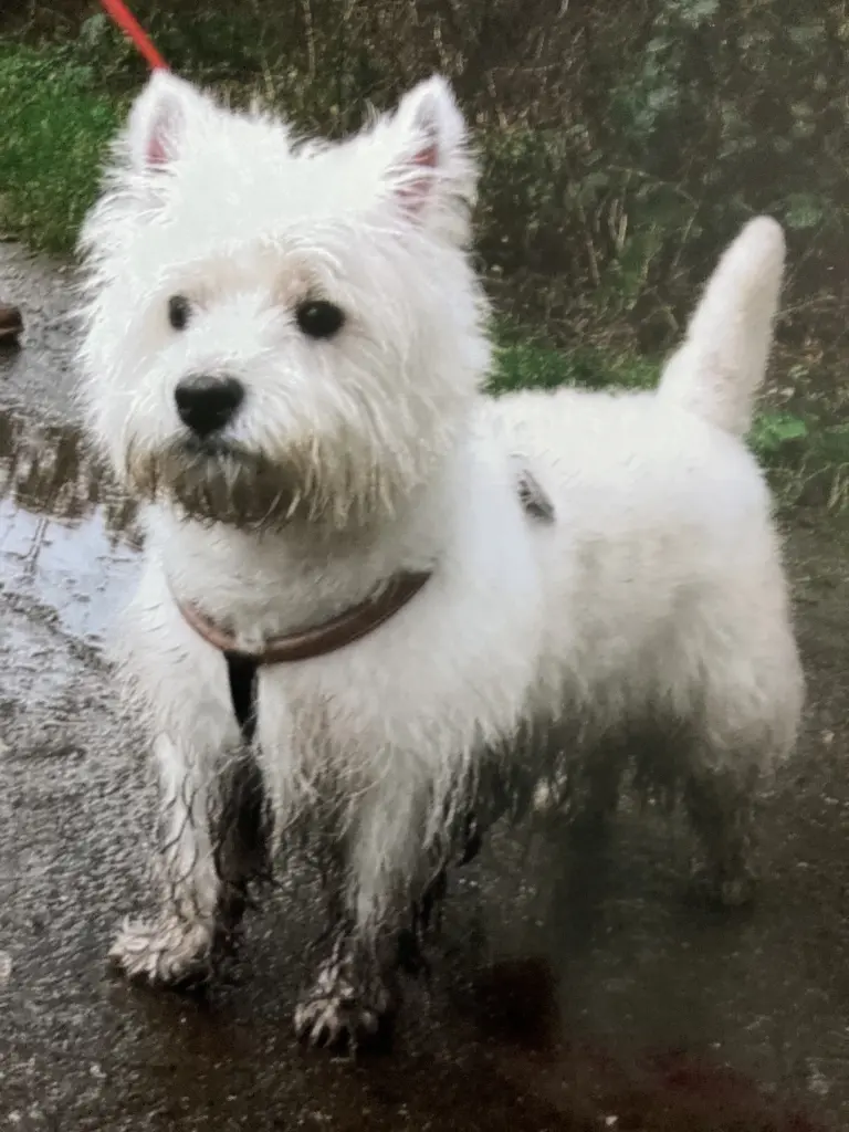 Condolence image of Sigrid