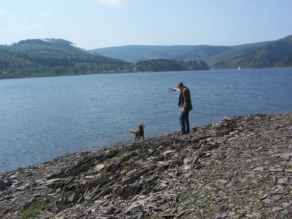 Condolence image of Heike mit Biene im ❤