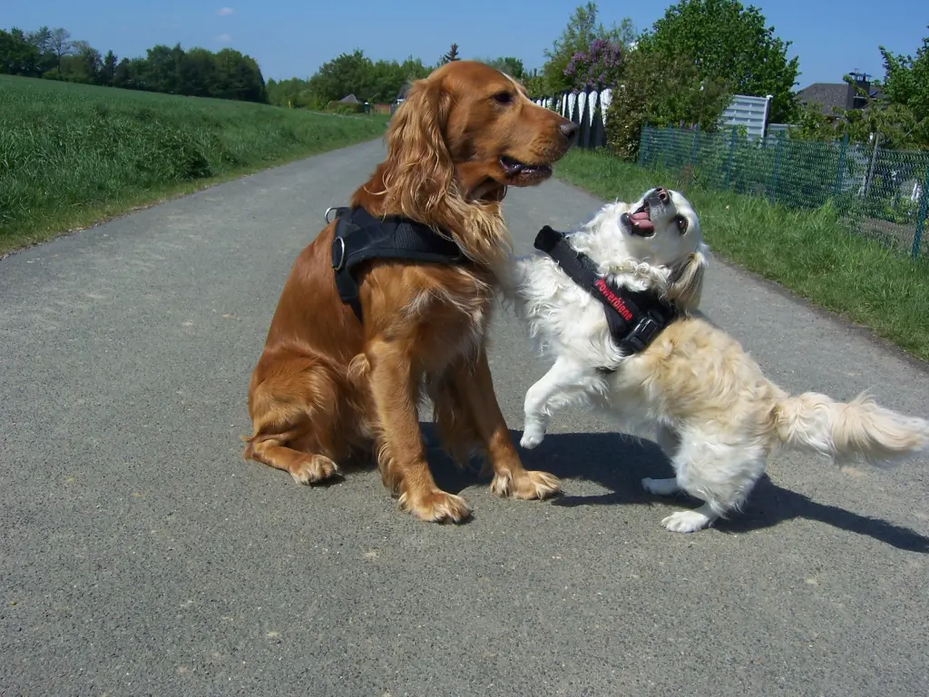 Condolence image of Heike mit Biene  im ❤ 