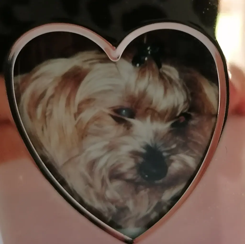 Condolence image of Von Daisy ❤️