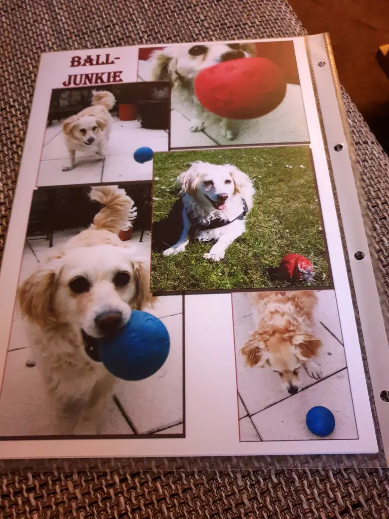 Condolence image of Heike mit Biene  im ❤ 