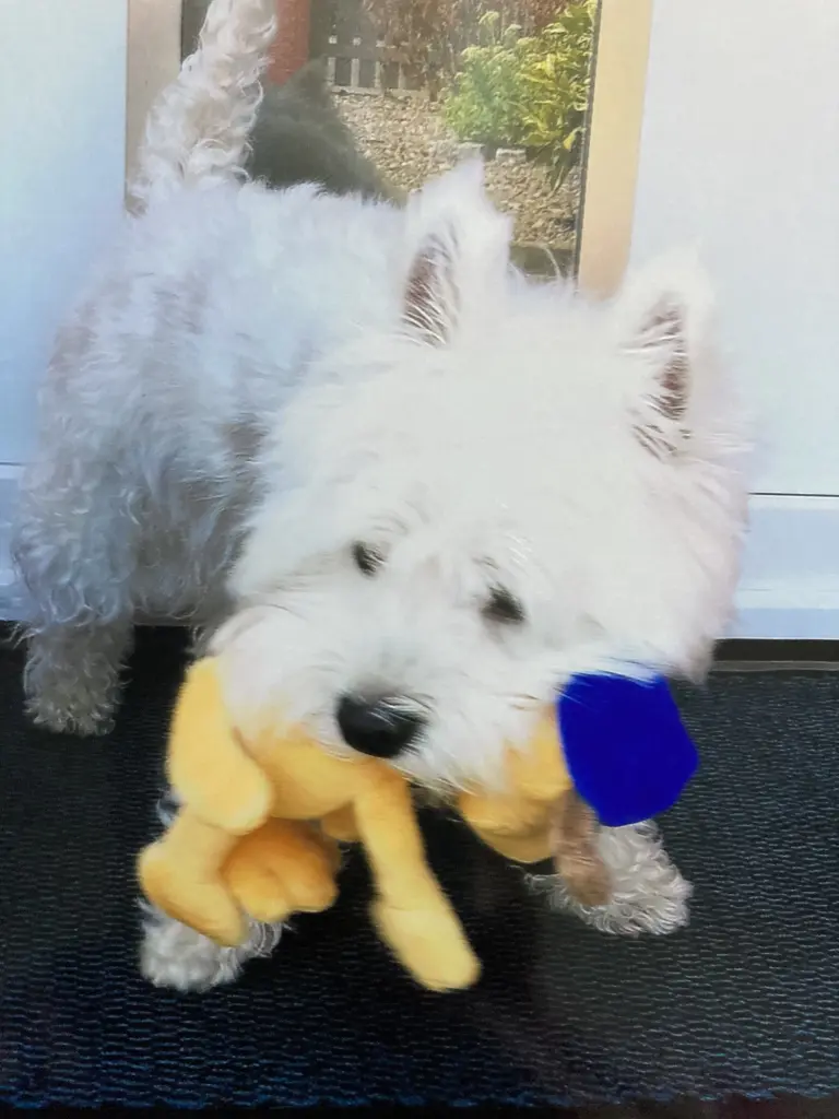 Condolence image of Unbekannt