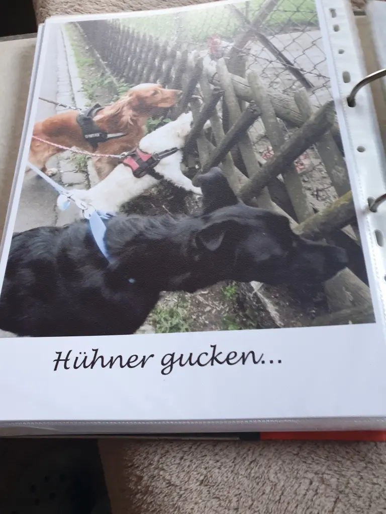 Condolence image of Heike mit Biene  im ❤ 