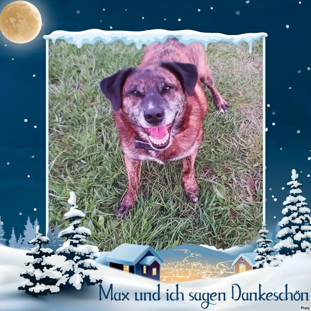 Condolence image of Gabi mit Max ❣️