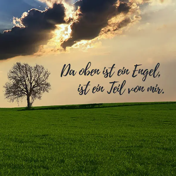 Condolence image of für Fiby  ❤️