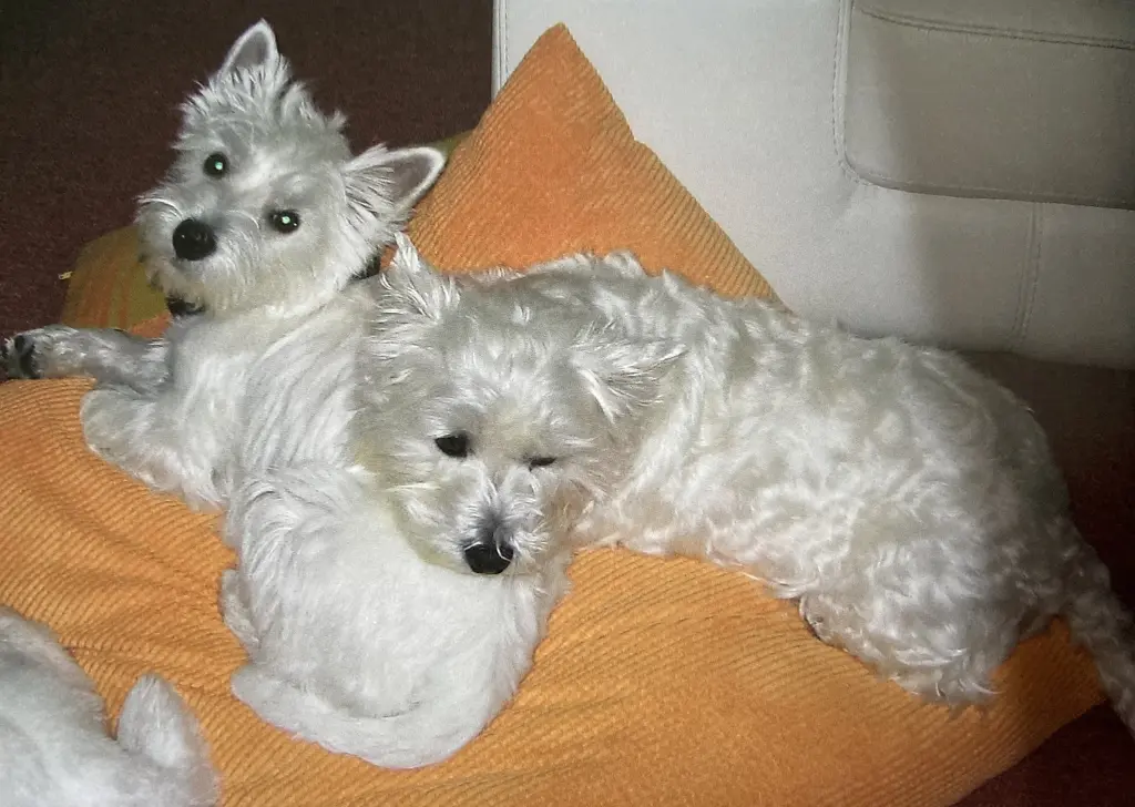 Condolence image of Unbekannt