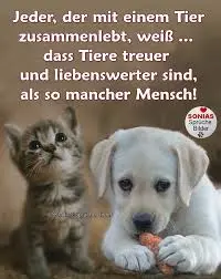 Condolence image of Heike mit Biene  im ❤ 