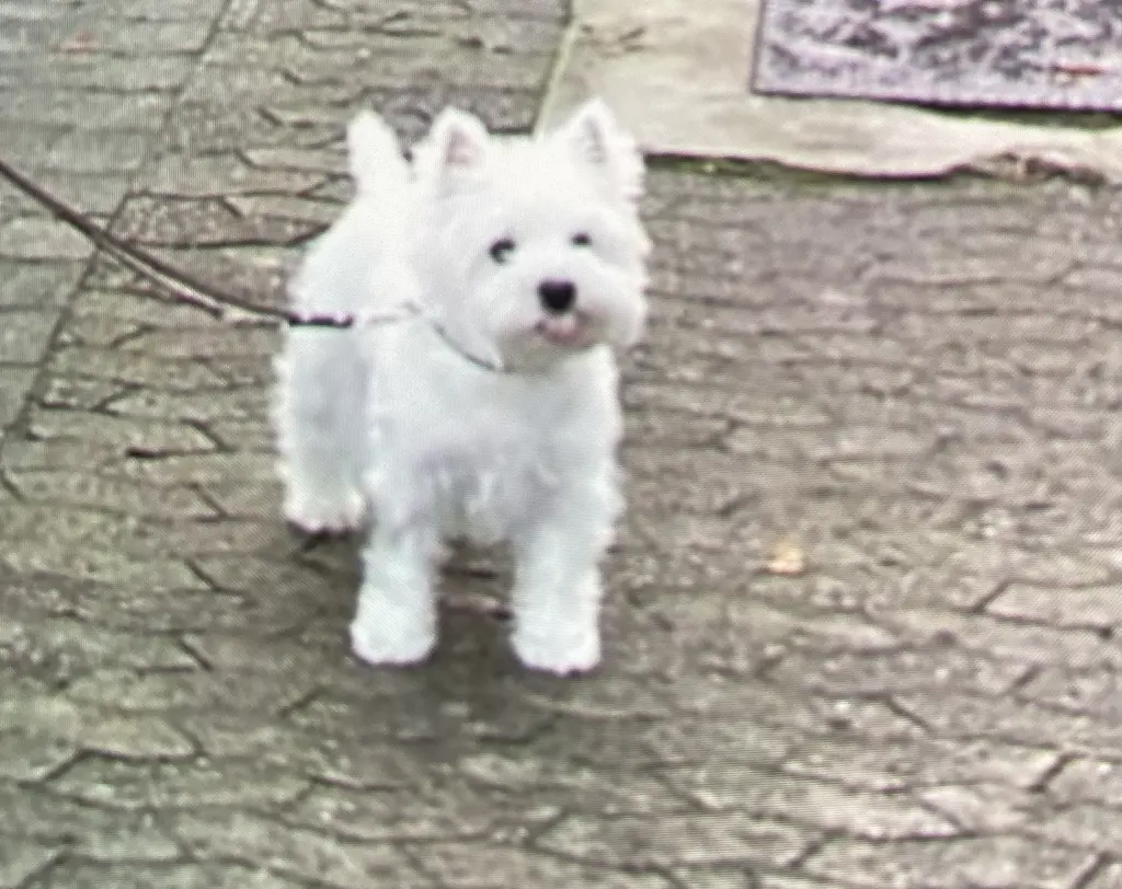 Condolence image of Unbekannt