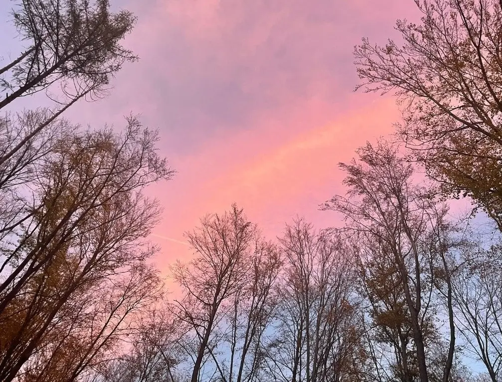 Condolence image of Snowy für Elke ❤️