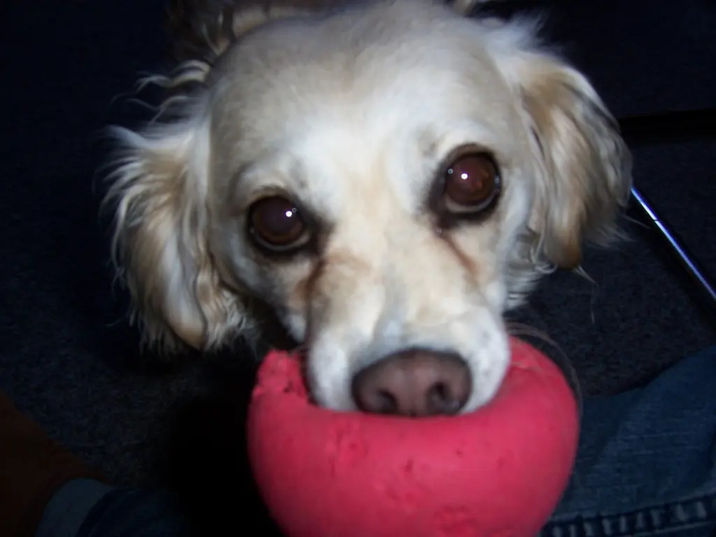 Condolence image of Von Biene