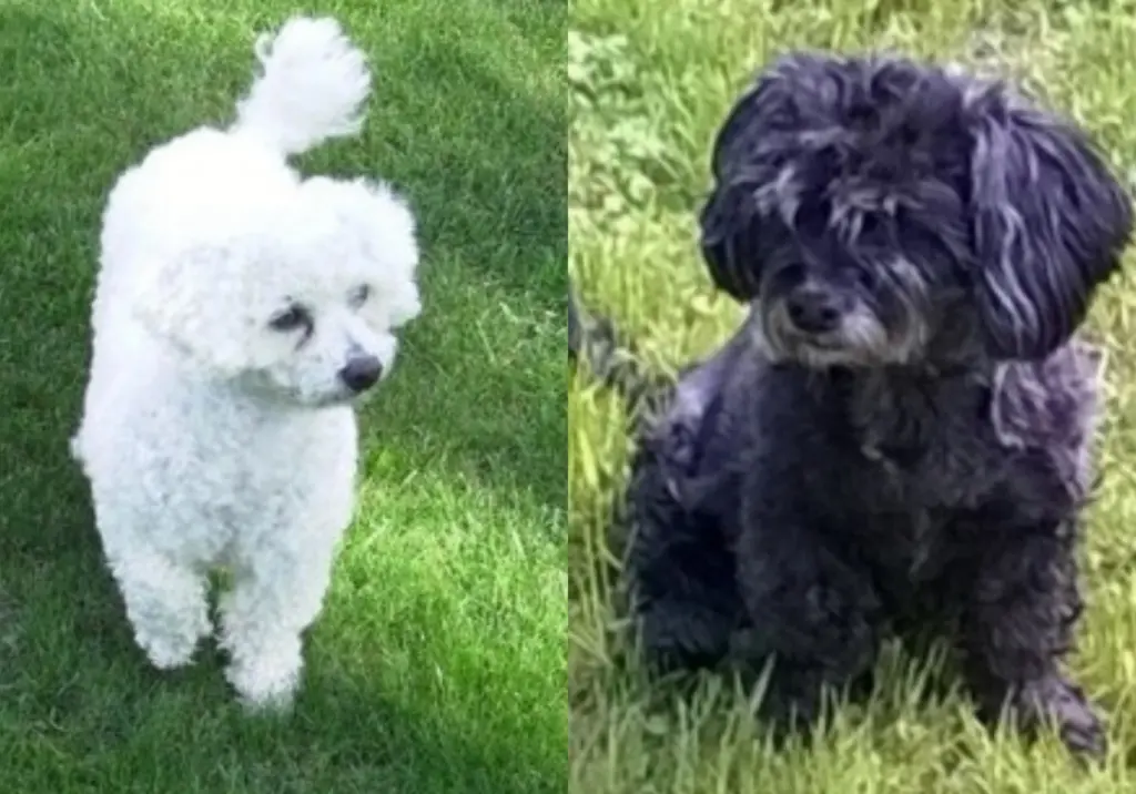 Condolence image of  From Heaven ❤️