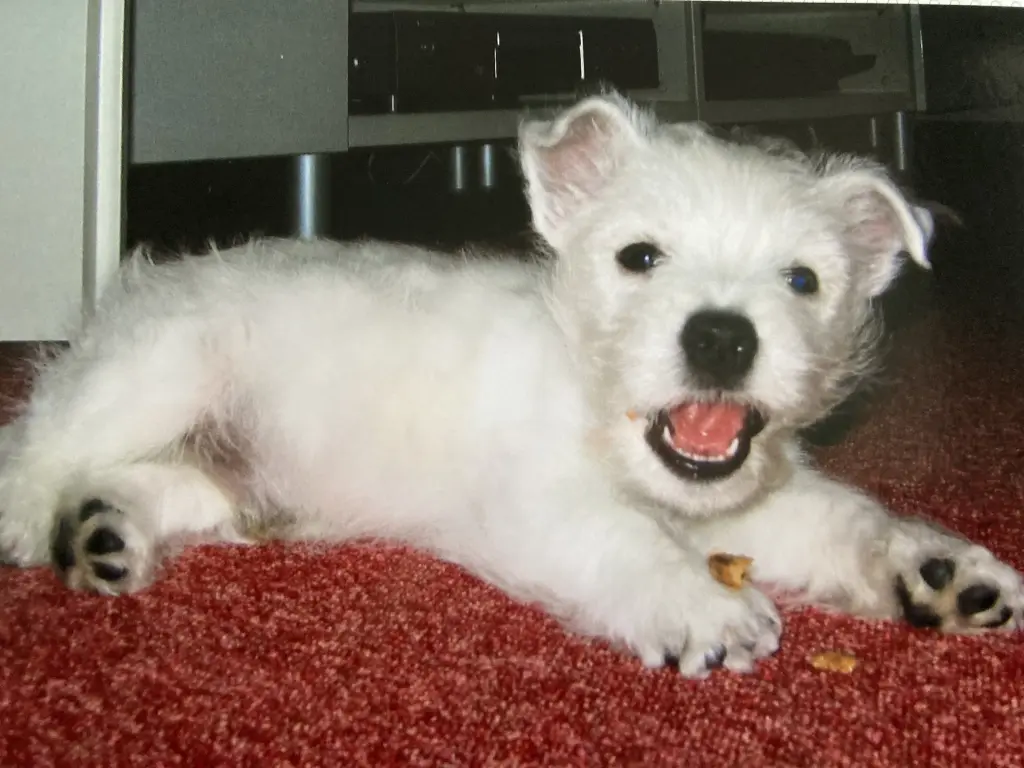 Condolence image of Unbekannt