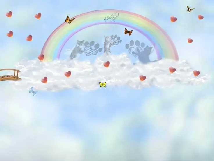 Condolence image of Martina mit Seelenhund Samy ♥️