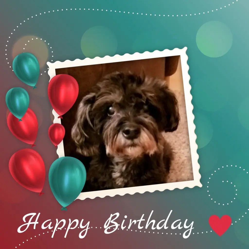 Condolence image of Andrea mit Minki im ♥️