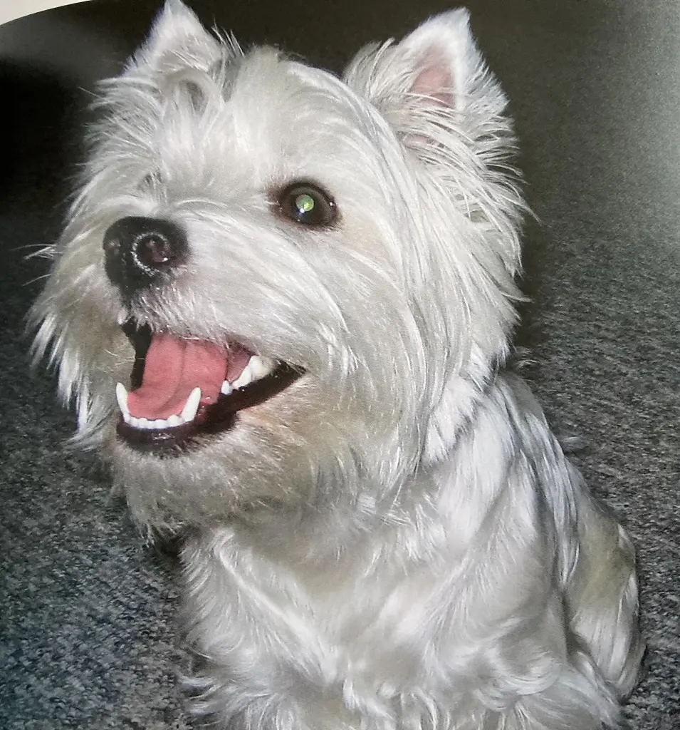 Condolence image of Unbekannt