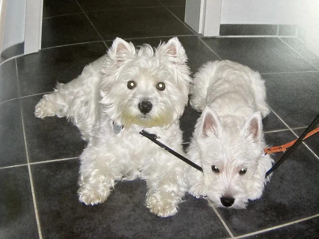 Condolence image of Unbekannt