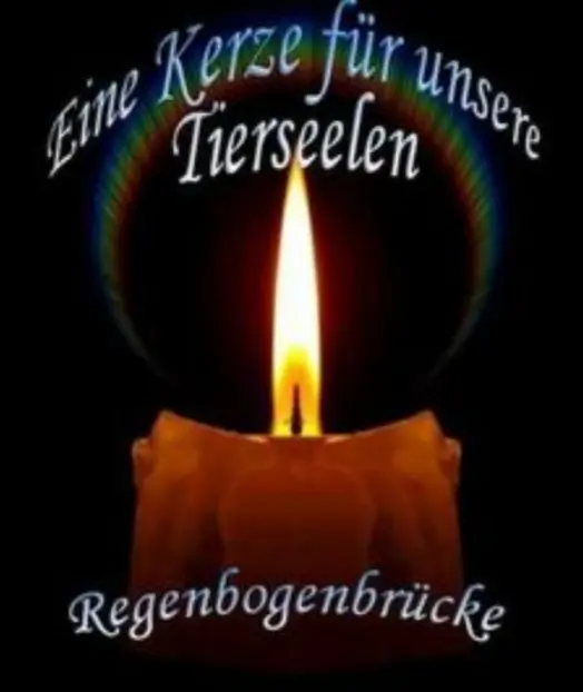 Condolence image of Krzysztof und Ewa mit Jacki tief im Herzen ❤