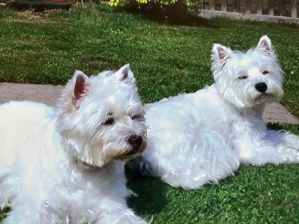 Condolence image of Unbekannt