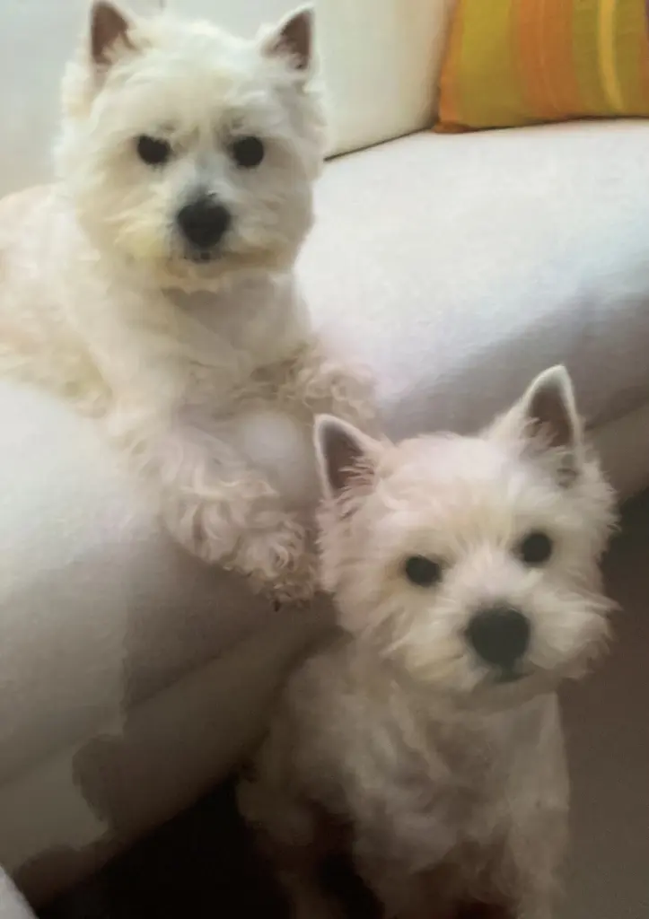 Condolence image of Unbekannt