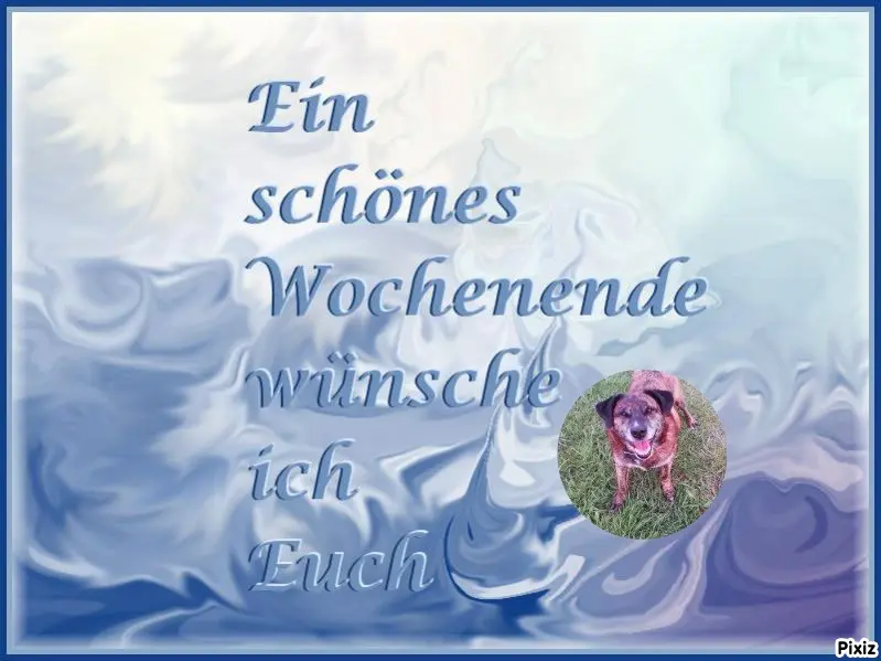 Condolence image of Gabi mit Max ❣️