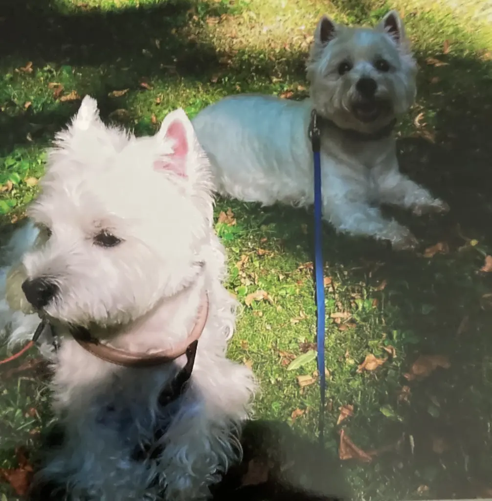 Condolence image of Unbekannt