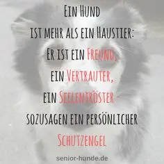 Condolence image of Unbekannt