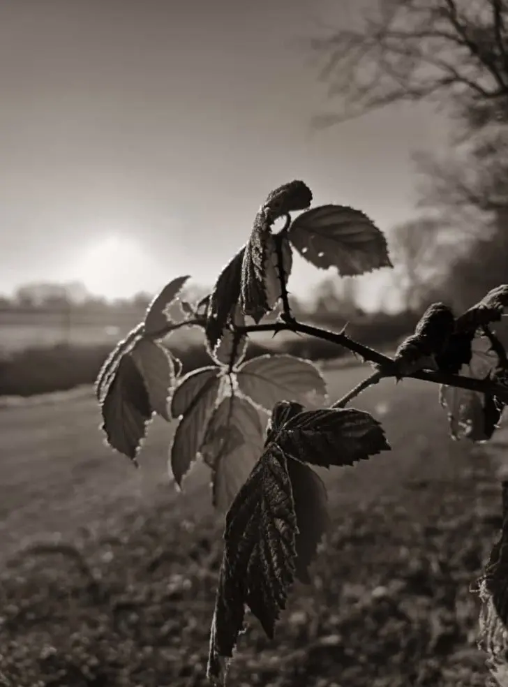 Condolence image of Unbekannt