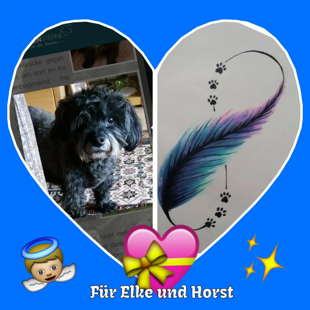 Condolence image of Martina mit Seelenhund Samy ♥️