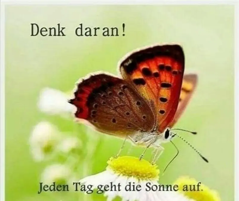 Condolence image of Fiby und Tommy ❤️❤️