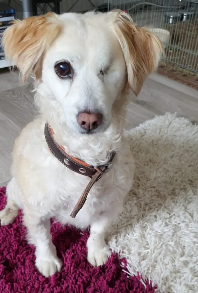 Condolence image of Von Biene 