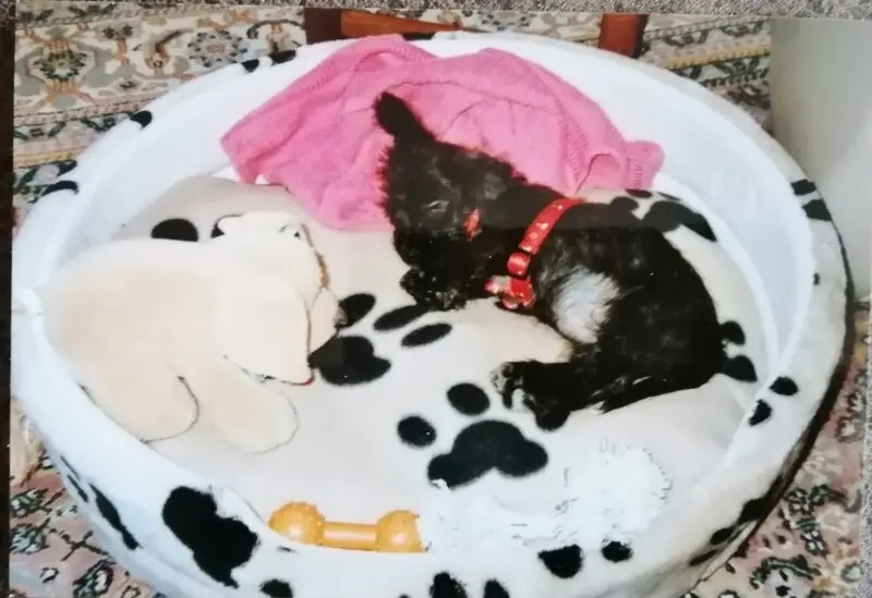 Condolence image of Unbekannt