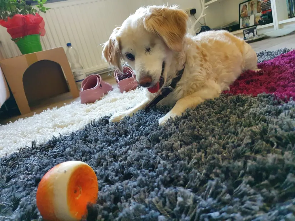 Condolence image of ❤ 