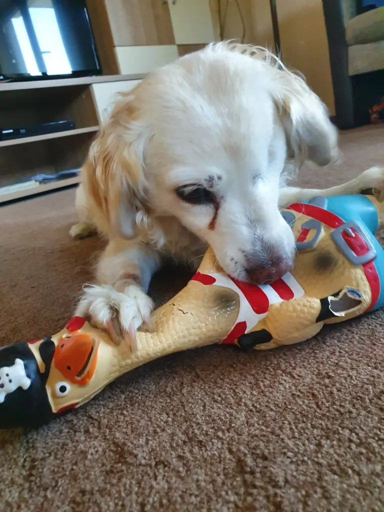 Condolence image of ❤ 