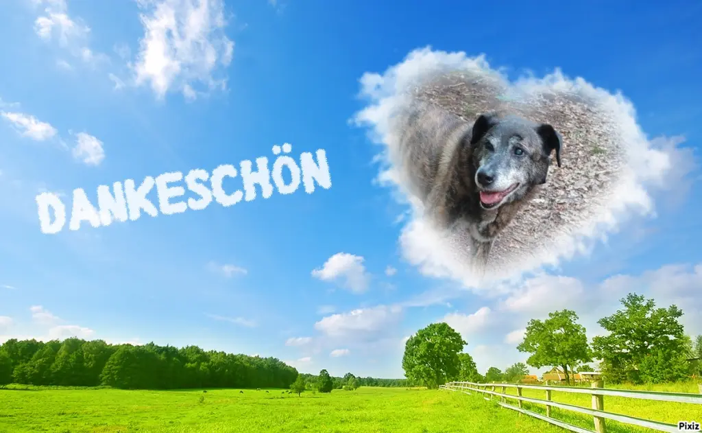 Condolence image of Gabi mit Max ❣️