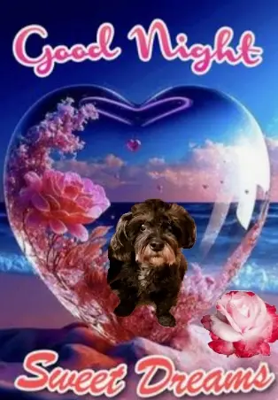 Condolence image of Krzysztof und Ewa mit Jacki tief im Herzen ❤