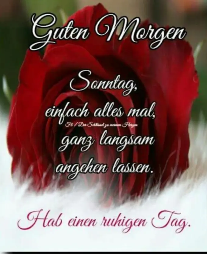 Condolence image of ⭐ Liebe Sonntagsgrüße ⭐