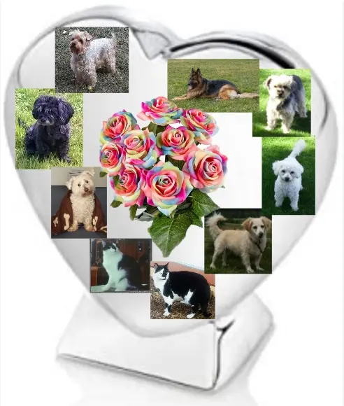 Condolence image of Ewa und Krzysztof mit Jacki tief im Herzen ❤